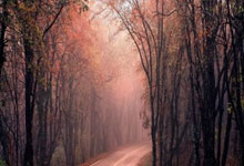 内螺纹截止阀如何判断开关位置方向,外螺纹截止阀尺寸标准