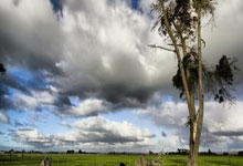 电动单座调节阀连接尺寸怎么看图解,电动调节阀选型计算